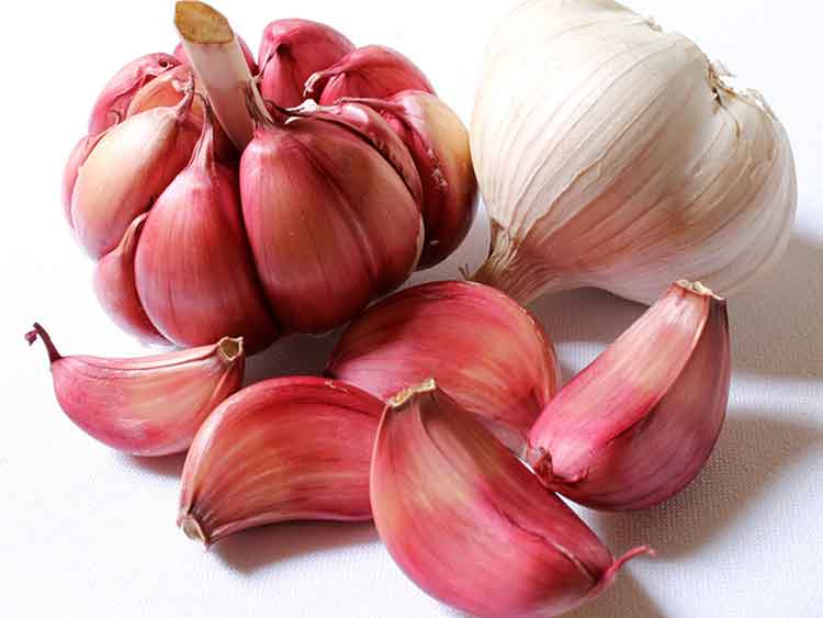 Is Anything Good About Garlic?